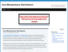 Tablet Screenshot of caramemperbesaralatkelamin.com